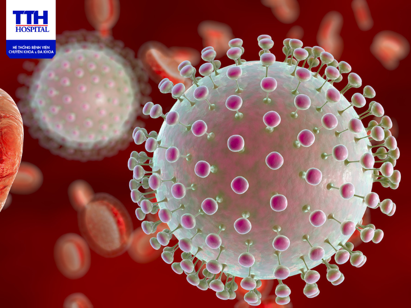 Nguồn bệnh viêm não Nhật Bản chủ yếu chứa virus JE là từ chim và lợn mắc bệnh